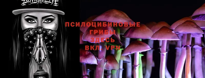 omg рабочий сайт  Порхов  Псилоцибиновые грибы Magic Shrooms 